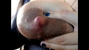 Bokep Mobile Pregnant milf squeezing boobs 2020