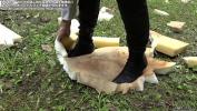 Video Bokep Terbaru Sadistic women crush things with shoes 3gp