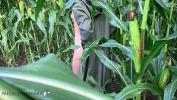 Nonton Bokep couple having sex in a public cornfield loving the thrill to get caught terbaru 2020