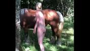 Bokep Baru Me whith horse 3gp