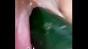 Link Bokep cucumber stretches pussy online